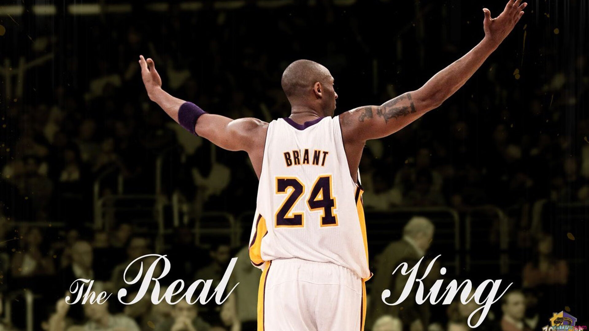 场馆活动：球迷节活动助推社区参与与品牌曝光，球迷会活动